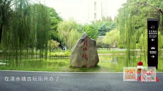 心似猛虎,细绣时光柳建新