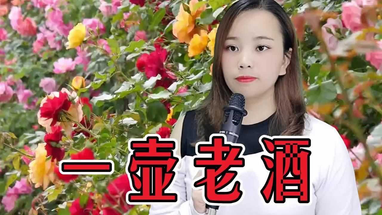 一首一壶老酒歌声动人唱得荡气回肠感人至深