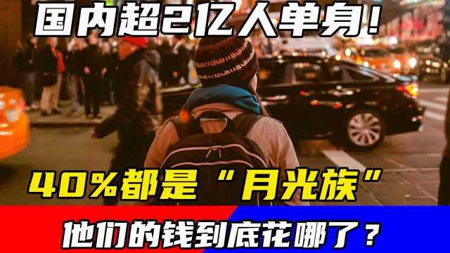 国内超2亿人单身!40%都是“月光族”,他们的钱到底花哪了?