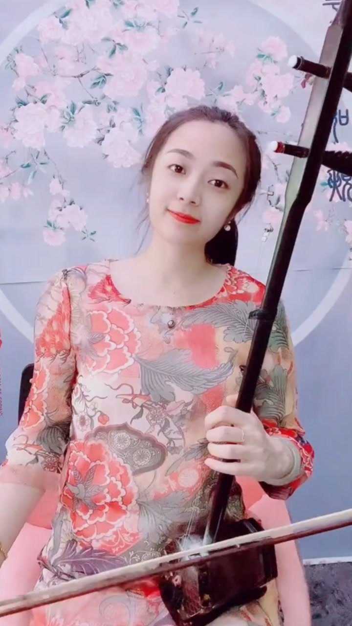 优雅清新网红美女二胡演奏妹妹的山丹花
