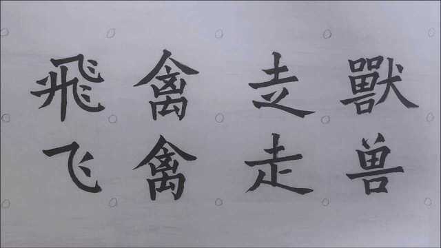 欧体楷书毛笔字,成语繁简对照书写之飞禽走兽