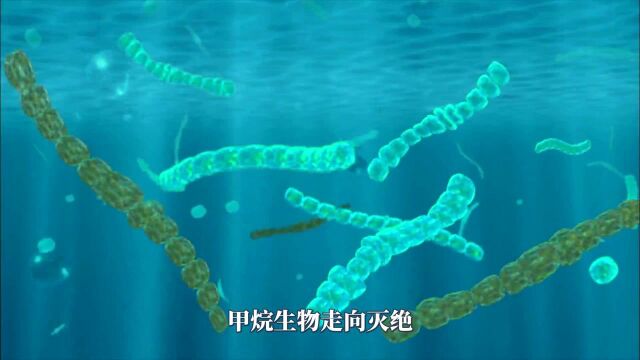 生物存活不需要氧气!古老地球到底是一个怎样的世界?#“知识抢先知”征稿大赛#