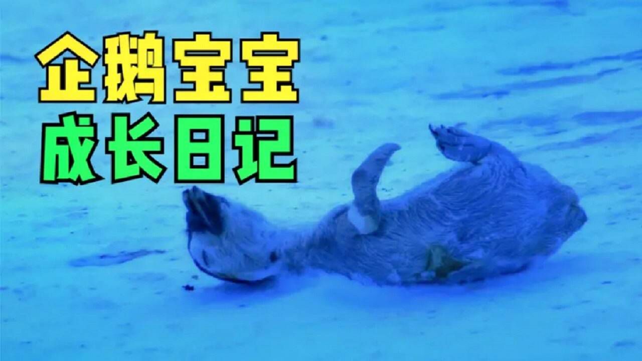 1080P 1080p