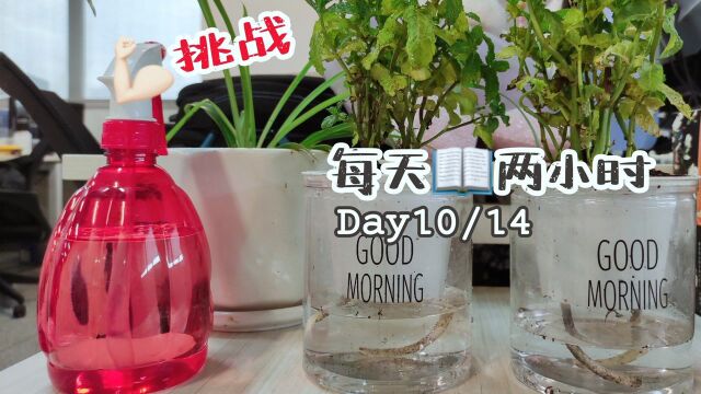 [读书vlog]14d/2h阅读挑战第十天,叶广芩作家也太棒了!