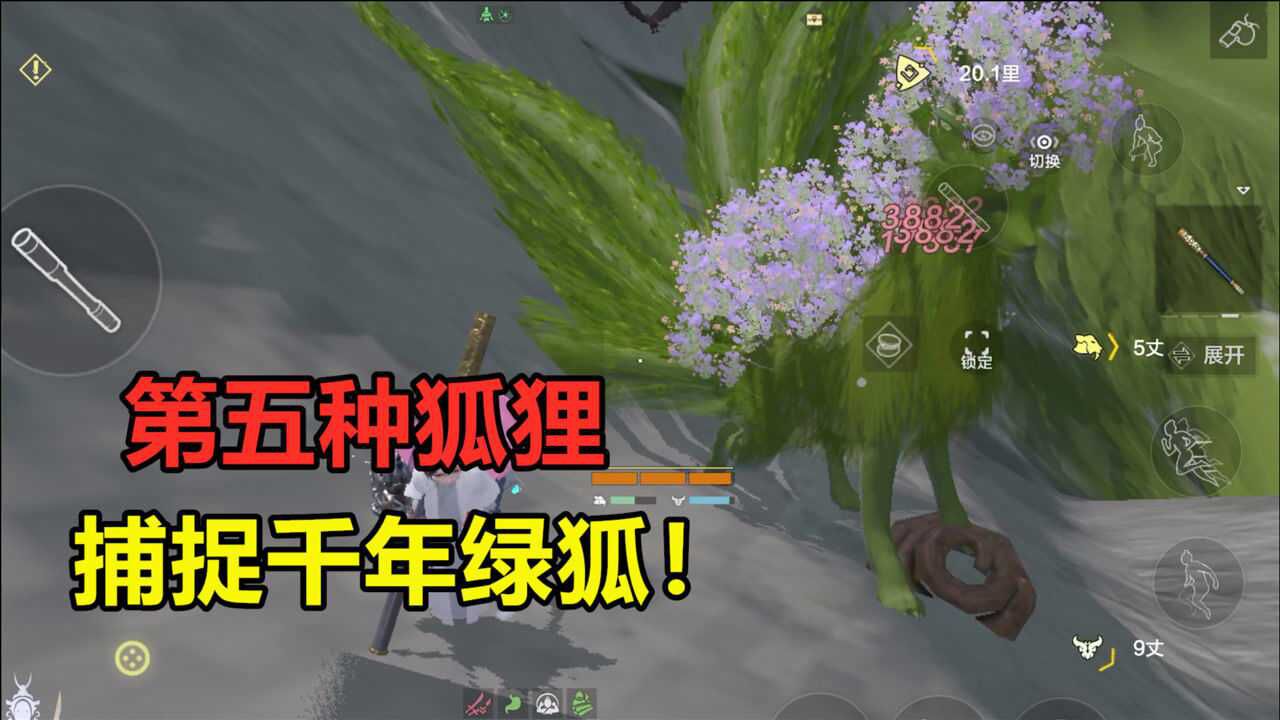 妄想山海捕捉第五种狐狸千年绿狐比万年还奢侈只能骑临时