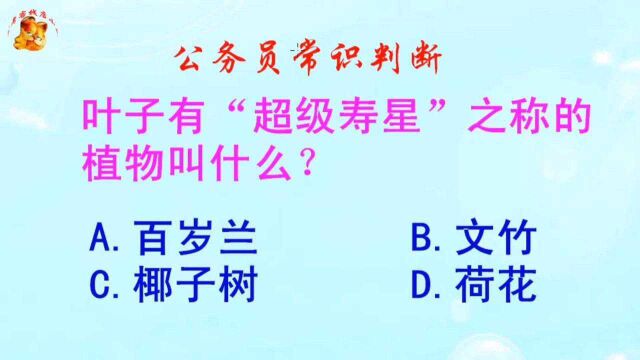 公务员常识判断,叶子有超级寿星之称的植物叫什么?难倒了学霸