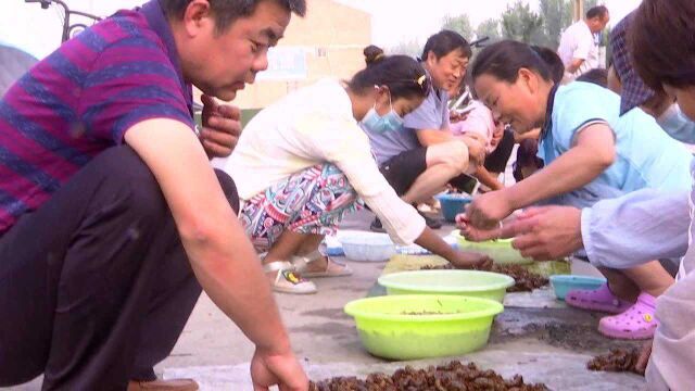 砀山县:爬拉猴上市 市民争相购买