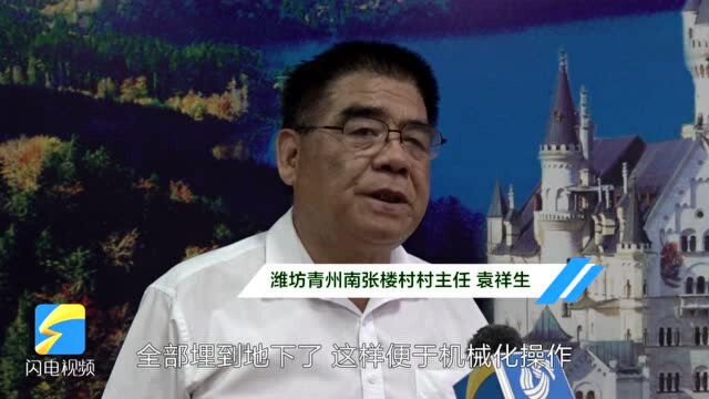 “云话山东”走进潍坊青州南张楼村 中德合作项目绘就乡村新画卷