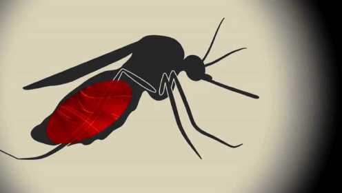 蚊子每年导致100多万人死亡，当人类消灭了所有蚊子会发生什么？