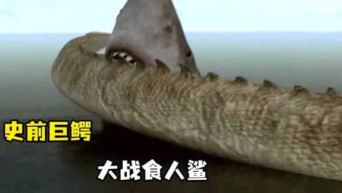 吞人鲨大战食人鳄：史前巨鳄遇到巨型鲨鱼，双方展开较量