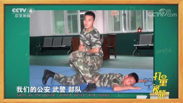 中国武术实战能力怎么样?八卦掌传人赵大元现场揭秘