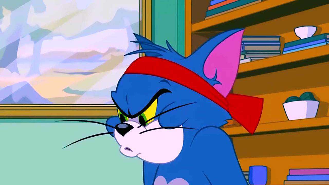 猫和老鼠自律的汤姆太可怕了