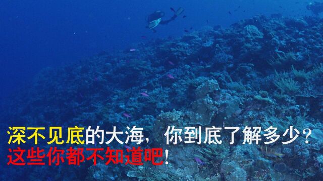 深不见底的大海,你到底了解多少?这些你都不知道吧!#“知识抢先知”征稿大赛#