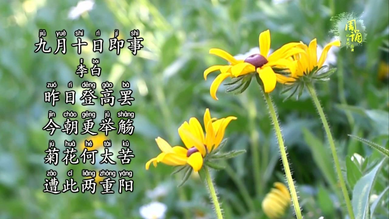 诗三百启蒙版 李白 九月十日即事 菊花何太苦 遭此两重阳
