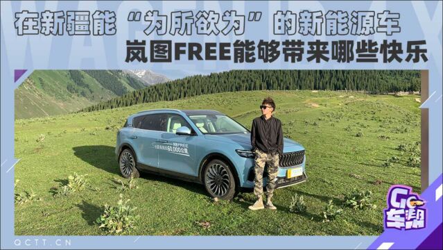 在新疆能“为所欲为”的新能源车,岚图FREE能够带来哪些快乐