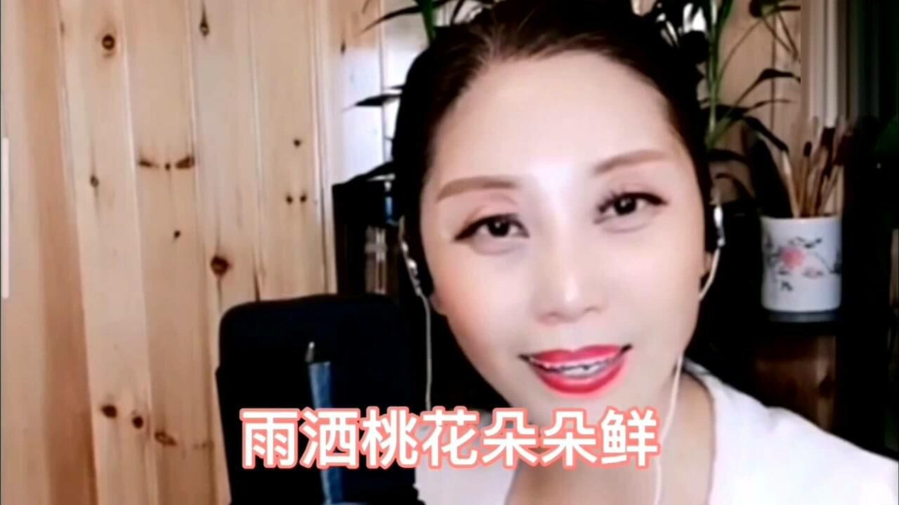 黄梅戏游春风吹杨柳条条线黄梅戏演员龙宝玲演唱