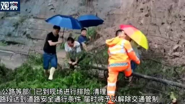 国道347阆中东兴段山体滑坡 道路正在抢通中