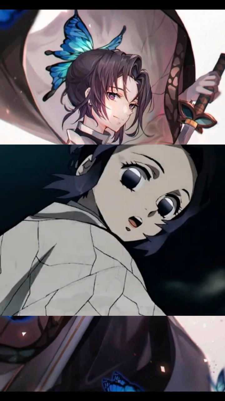 《鬼灭之刃》虫柱*蝴蝶忍