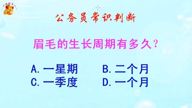 公务员常识判断,眉毛的生长周期有多久?错得一塌糊涂