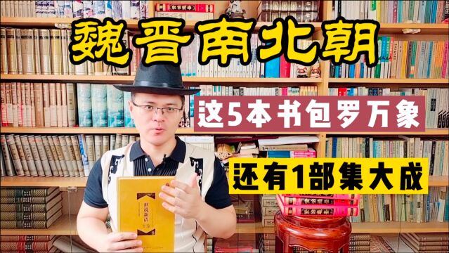 系统了解魏晋南北朝?这5本书包罗万象!还有1部集大成!