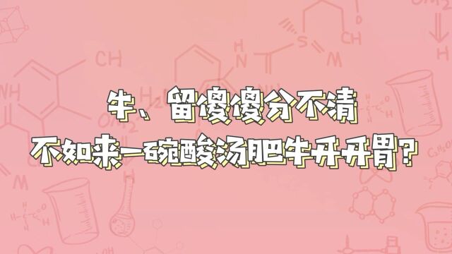 牛、留傻傻分不清,不如来一碗酸汤肥牛开开胃?