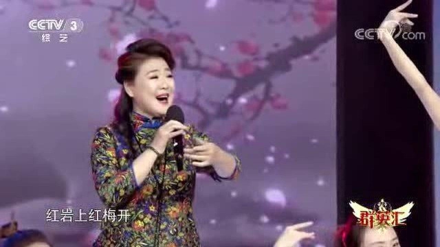 《红梅赞》万山红演唱