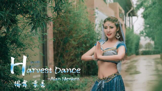 异域风情魅力!柔美融合风东方舞,阿拉丁《Harvest Dance》