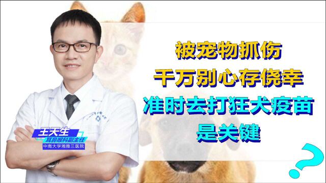 被宠物抓伤千万别心存侥幸,准时去打狂犬疫苗是关键!