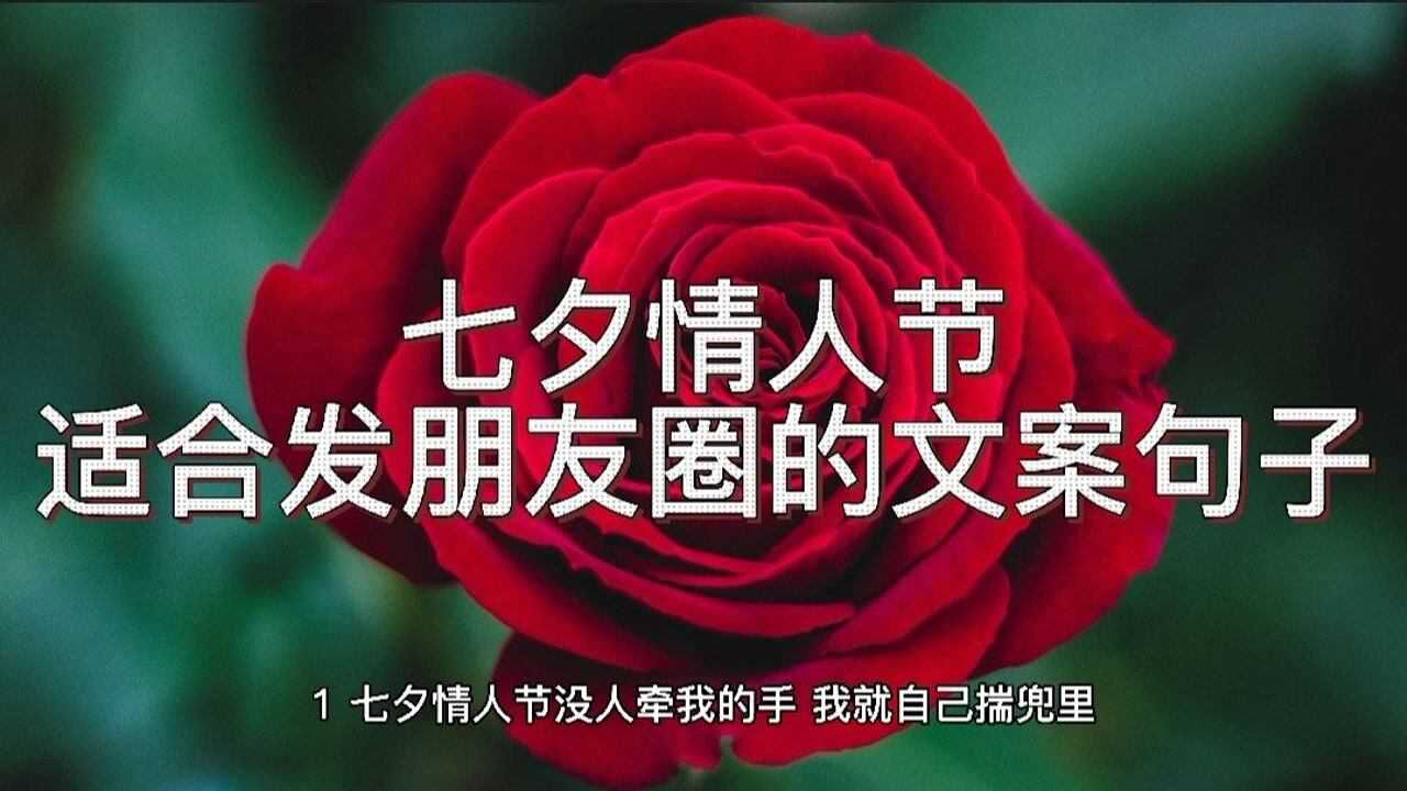 七夕情人节适合发朋友圈的文案句子有的美有的扎心