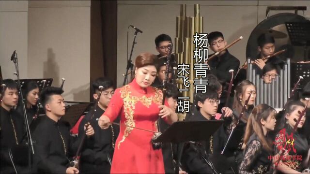 宋飞二胡演奏《杨柳青青》,关乃忠曲