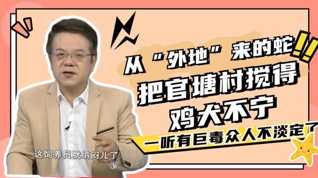 从“外地”来的蛇,把官塘村搅得鸡犬不宁,一听有巨毒众人不淡定了