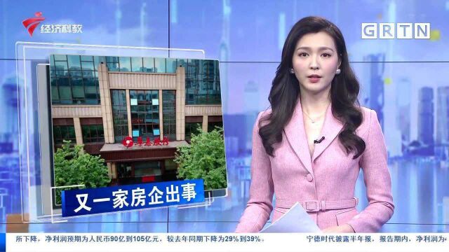 又一家房企出事 广州房企粤泰控股股东被申请破产清算