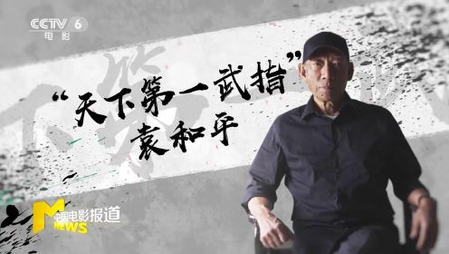 动作影人风云录：“天下第一武指”袁和平