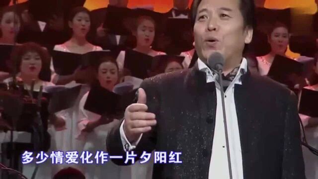 佟铁鑫深情演绎《夕阳红》,浑厚的歌声温暖动听