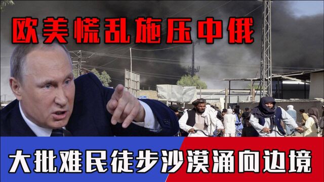 “钱不是问题!”欧美强制中国接收40万难民,华春莹早已看穿伎俩