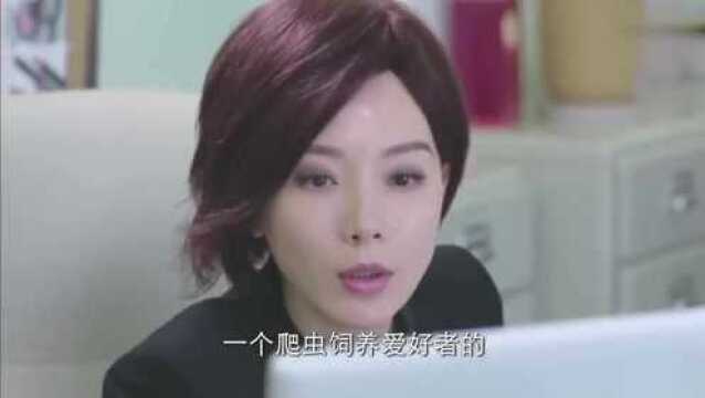 男闺蜜:白洁觉得老公有问题,一路跟踪,他竟然开车接上前妻走了