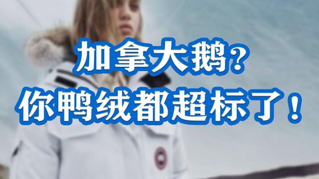 网红羽绒服被公开处刑!鹅绒都不达标,不如改叫加拿大鸭? #财经热榜短视频征集#