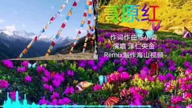 《高原红》中英文版,演唱泽仁央金,词曲陈小奇,藏族歌曲,高昂醉人