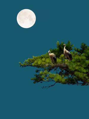 空山新雨后天气晚来秋明月松间照清泉石上流创意制作动画制作