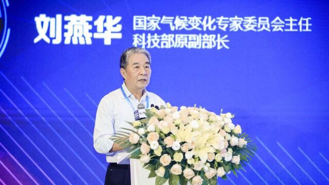 刘燕华:绿色金融不是分割存量 是分享增量