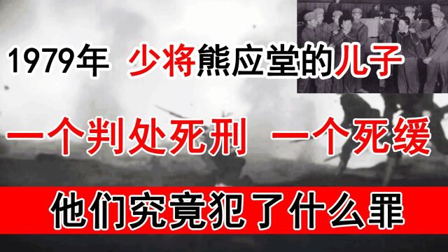 1979年少将熊应堂的双胞胎儿子,在杭州被公审判刑,他们做了什么