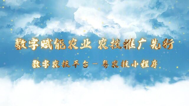 点视频,60秒了解“粤农技”重要功能.