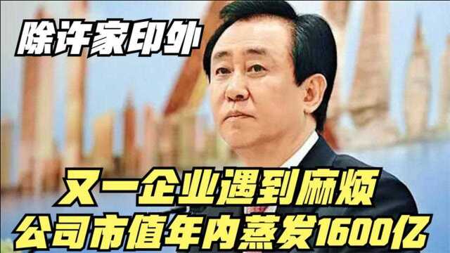 除恒大许家印之外,又一企业家遇麻烦,公司市值年内蒸发1600亿