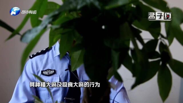 男子家中复制“金三角”自种自吸!民警:案件正在进一步办理中!