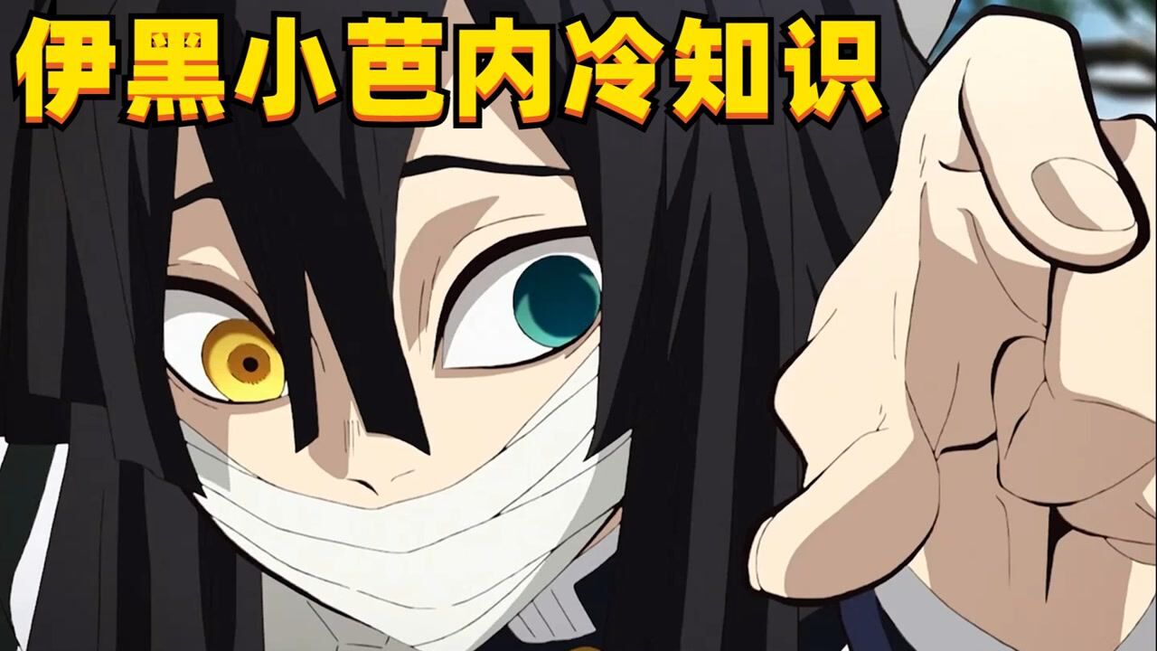 伊黑小芭内你不知道的十条冷知识与蜜璃结婚生了五个孩子