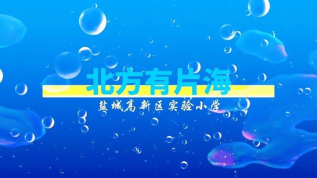 歌曲《北方有片海》盐城市高新区实验小学演唱