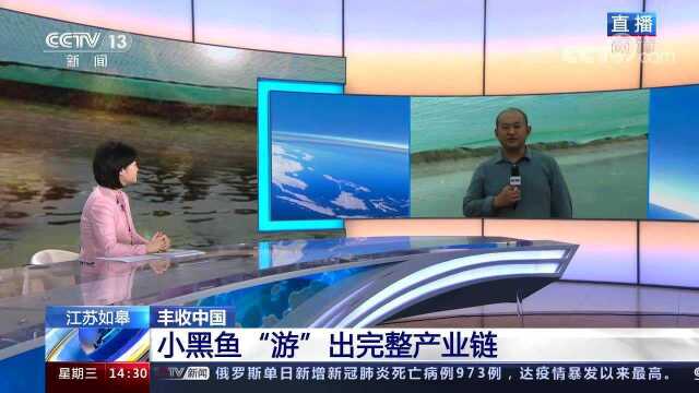 小黑鱼“游”出完整产业链