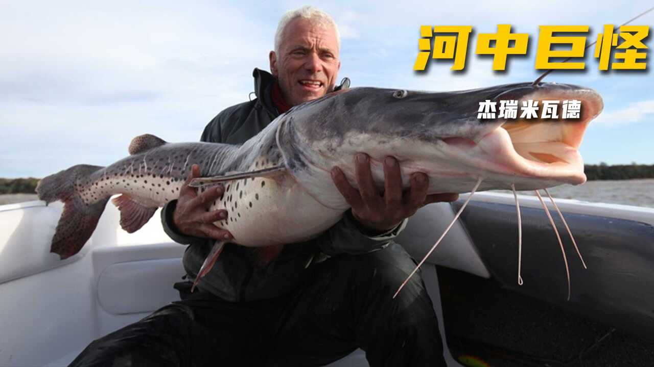 河中巨怪,杰瑞米深入泰国海岸探查巨型海怪