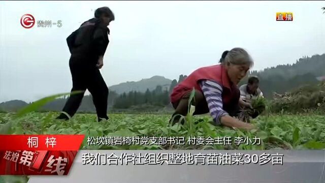 统购统销解民忧,大抓秋种促增收