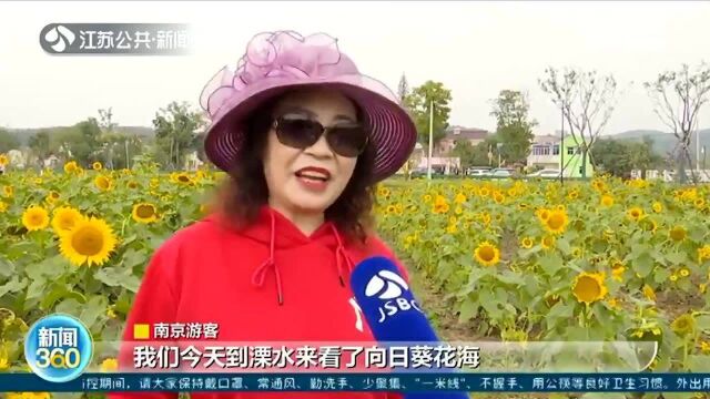 快来打卡!景点、农家乐串珠成线 南京这条路入选全国美丽乡村路